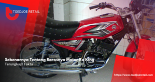 Borosnya Motor Rx King